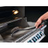 Napoleon 62052PK12 - Industrial Stainless Steel Grill Brush (Pack of 12) in Used View