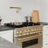 ZLINE GEMFPFPG - Gemini Wall Mount Pot Filler with 1.8 GPM Flow Rate