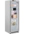 Koolmore KMFMD12SGD - 24 Inch Commercial Freestanding Merchandising Freezer
