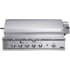 DCS BGB48BQARN - 48" Grill with Rotisserie