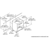 Thermador Emerald Series DWHD440MFP - Dimensions