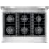 Electrolux ICON Professional E36DF76GPS - Cooktop View