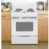 GE JS250DFWW - Lifestyle View