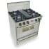 FiveStar TTN2607BSW - Stainless Steel with Brass Trim