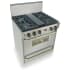 FiveStar TTN2817BSW - Stainless Steel with Brass Trim