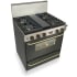 FiveStar TTN2817SW - Black with Brass Trim