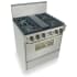 FiveStar TPN287BSW - Stainless Steel with Brass Trim