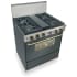 FiveStar TPN287SW - Black with Brass Trim