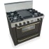 FiveStar TPN3107SW - Black with Brass Trim