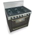 FiveStar TPN3117SW - Black with Brass Trim