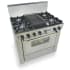 FiveStar TPN3257BSW - Stainless Steel with Brass Trim