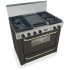 FiveStar TPN3317SW - Black with Brass Trim