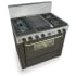 FiveStar TPN3377SW - Black with Brass Trim