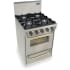 FiveStar TTN4807BSW - Stainless Steel with Brass Trim