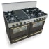 FiveStar TPN5107SW - Black with Brass Trim