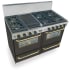 FiveStar TPN5317SW - Black with Brass Trim