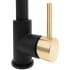 ZLINE APLKFZMBCB - Pull Down Spring Single Handle Kitchen Faucet in Matte Black and Champagne Bronze