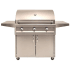 Artisan American Eagle Series AAEP36CLP - Front View