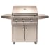 Artisan American Eagle Series AAEP32CNG - Front View