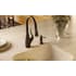 Franke FFBP2400R - Bar/Prep Faucet with Soap Dispenser Close-Up