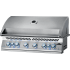 Napoleon 700 Series BIG44RBPSS - Angle View