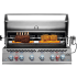 Napoleon 700 Series BIG44RBPSS - In-Use View