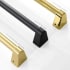 ZLINE Autograph Edition BS655Z30CB - Handle Color Options View