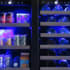 XO XOU24BWDDGB - 24 Inch Combo Beverage Center &amp; Wine Cooler