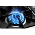 Capital Culinarian Series CGRT488L - Burner
