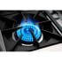 Capital Culinarian Series CGSR366N - Open Burner
