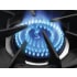 Capital Grand Chef CGSR604BG2N - 60 Inch Grand Chef Freestanding Gas Range