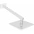 ZLINE BLSSHFCH - Bliss Single Handle Shower Faucet Rainfall Shower Head