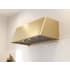 Zephyr Designer Mesa DMEE48ASGX - 48 Inch Wall Mount Range Hood