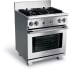Electrolux ICON Professional E30DF74GPS - Angled View