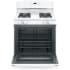 GE JGBS60DEKWW - Product Photos_Un-installed/free-standing_Closed View