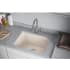 Elkay Quartz Classic LKPDQSPT - Lifestyle View