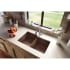 Elkay Quartz Classic ELGU250RMC0 - Mocha Lifestyle View