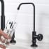 Kraus Urbix FF101SFS - 100% Lead-Free Kitchen Water Filter