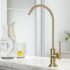 Kraus Allyn FF102BG - Lead-Free Kitchen Water Filter