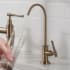Kraus Allyn FF102BG - Lead-Free Kitchen Water Filter