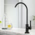Kraus Allyn FF102MB - Lead-Free Kitchen Water Filter Faucet