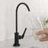 Kraus Allyn FF102MB - Lead-Free Kitchen Water Filter Faucet