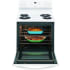 Frigidaire FFEF3016VW - In-Use View