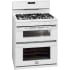 Frigidaire Gallery Series FGGF304DLW - Angled View