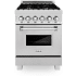 ZLINE RASSNBR24 - Professional DuraSnow® Stainless Steel Dual Fuel Range with Brass Burners