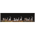 Napoleon NEFL65LCD3SV - Luminex 65 Inch LCD Electric Linear Built-in Fireplace