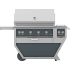 Hestan GMBR42CX2LPGG - Front View