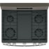 GE JGBS66EEKES - Slate Burner View