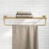 Kraus KEA17742BG - Front View of Towel Holder