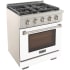 Kucht Professional KFX Series KFX300LPW - 30 Inch Freestanding Gas Range